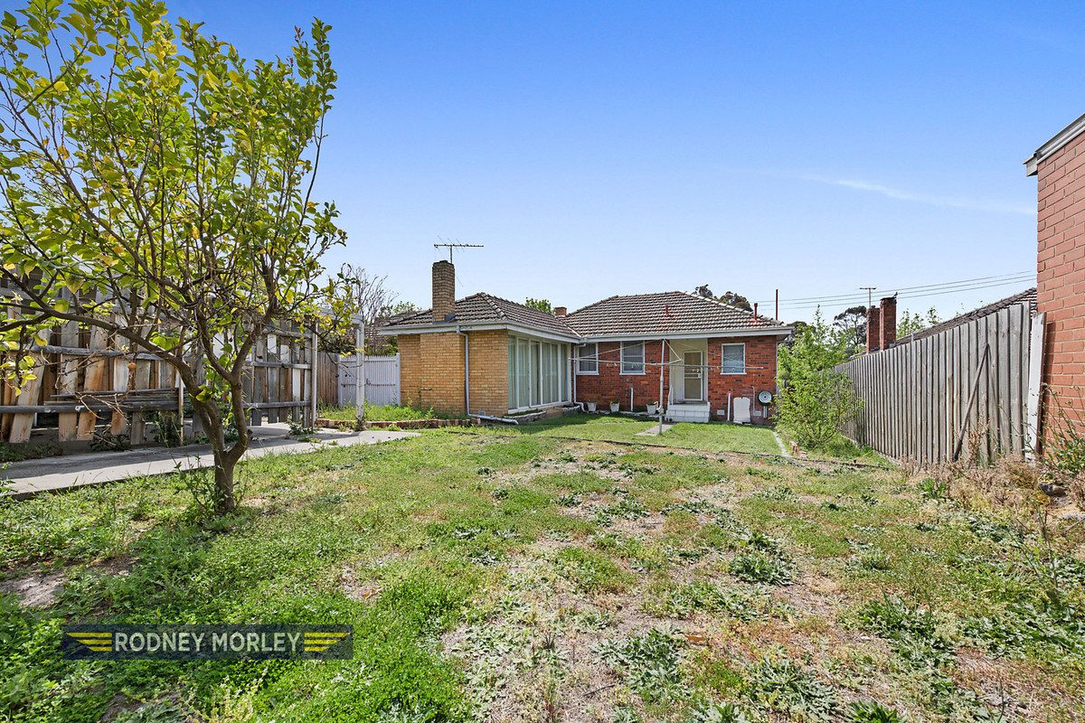 12 Bellevue Avenue, Malvern East - Thumbnail 5