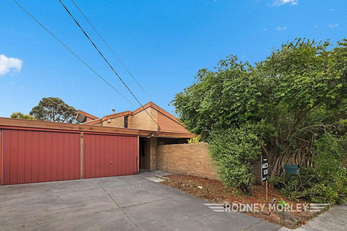 81 Bealiba Road, Caulfield South - Thumbnail 3